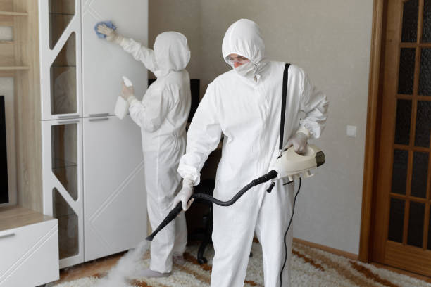 24/7 Emergency Odor Removal experts in Canyon Lake, CA